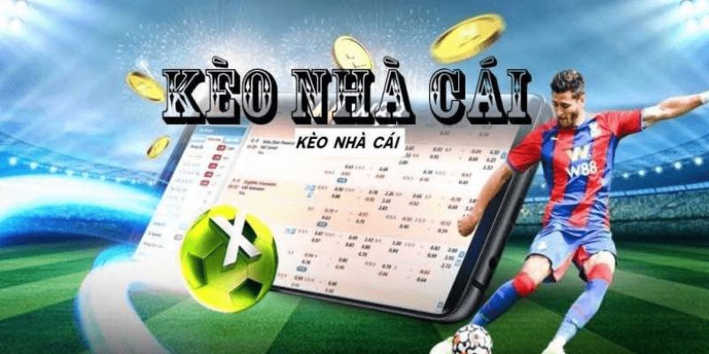 Soi kèo nhà cái với các kèo cược phổ biến hiện nay